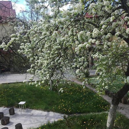 Квартира-Студия В Стиле Шале Truskavets Exteriör bild